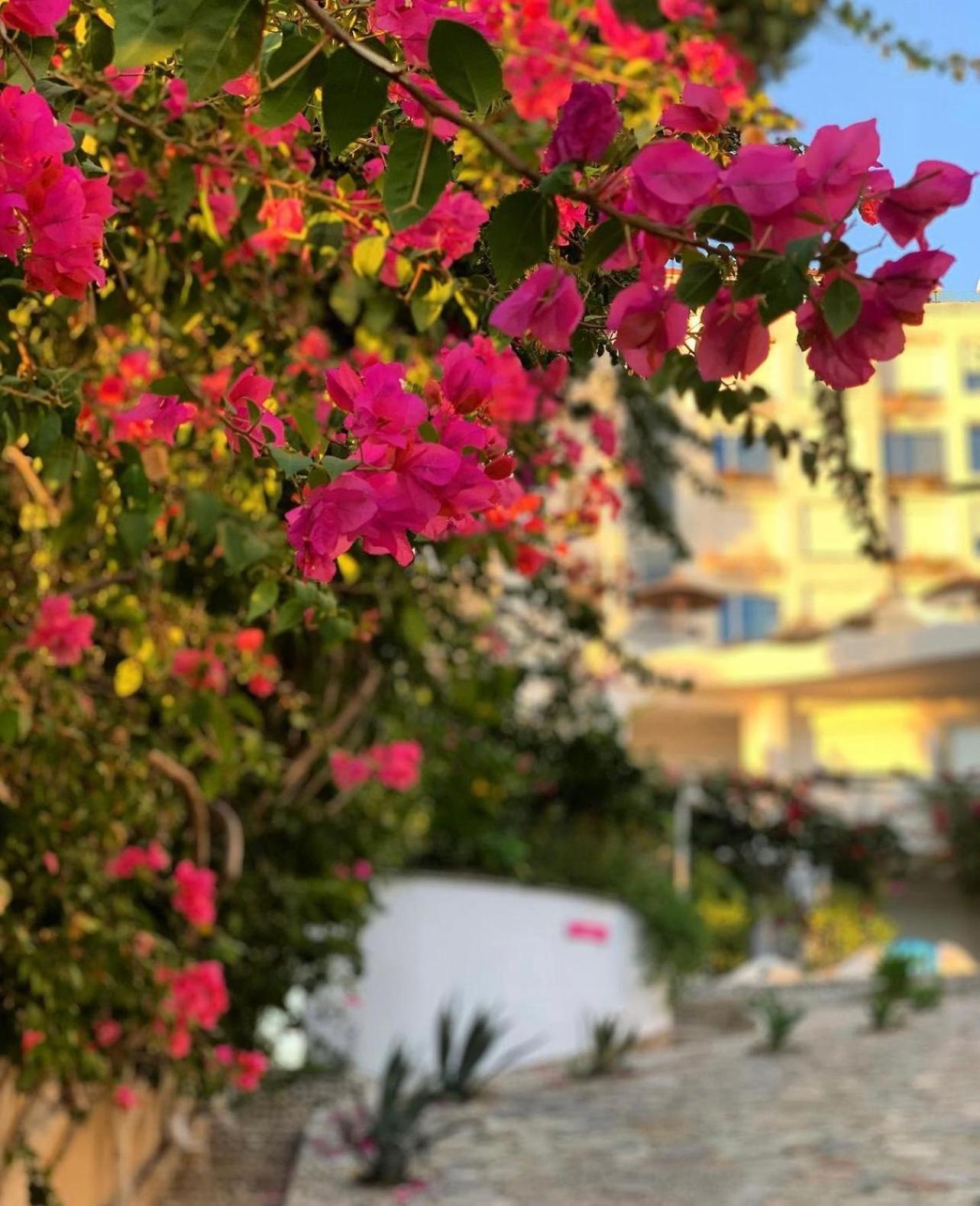 Bellavista Apartments Bougainville Bay Sarande Bagian luar foto